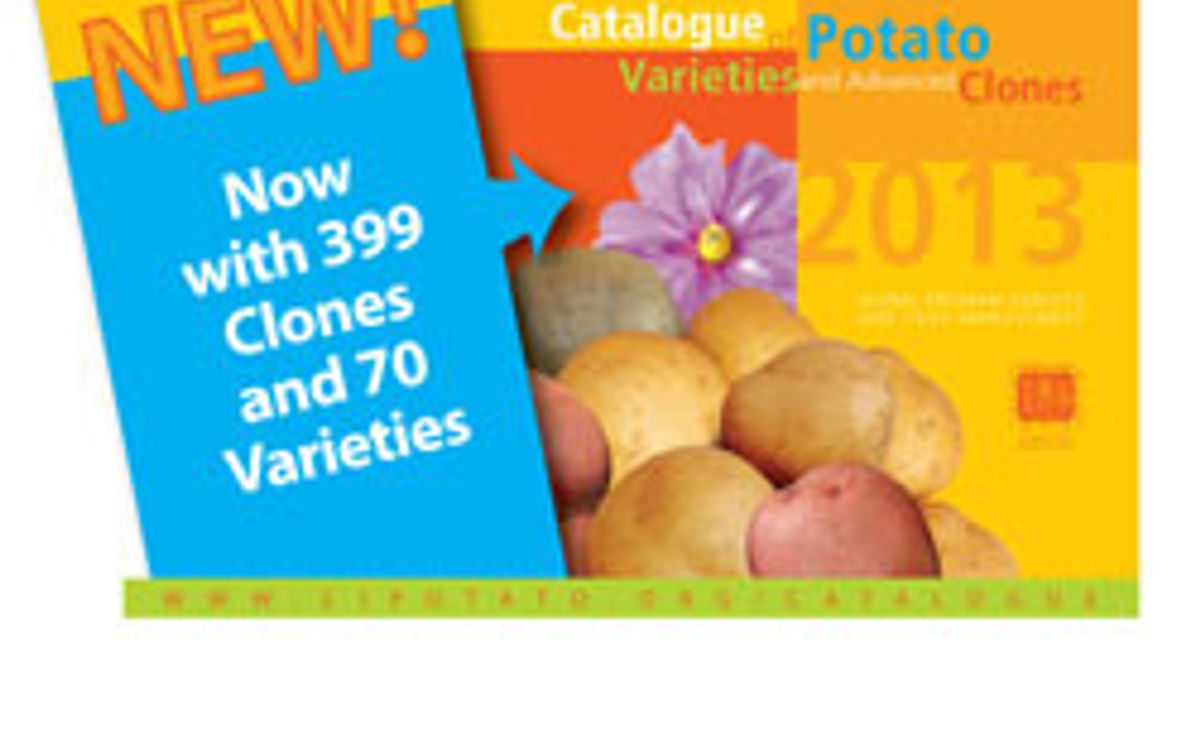 Presentación del nuevo catálogo Presentación del nuevo catálogo