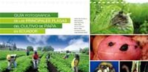  Caratula de Guía fotografica de las principales plagas del cultivo de papa en Ecuador