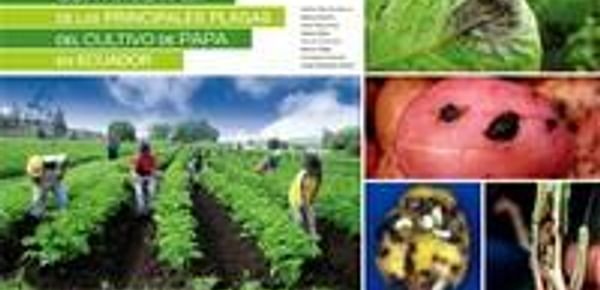  Caratula de Guía fotografica de las principales plagas del cultivo de papa en Ecuador
