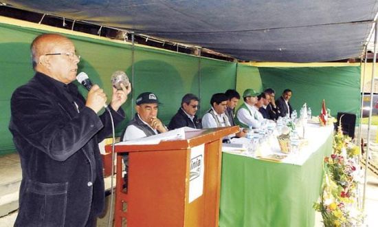 Perú: Aparece una nueva variedad de papa que rinde 40 toneladas por hectárea