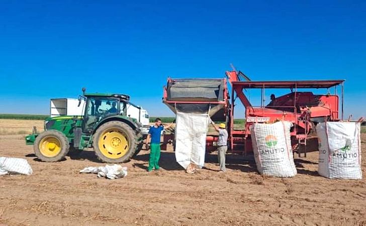 Agricultores sacan patatas en Cantalpino, ya con máquina. Agricultores sacan patatas en Cantalpino, ya con máquina.
