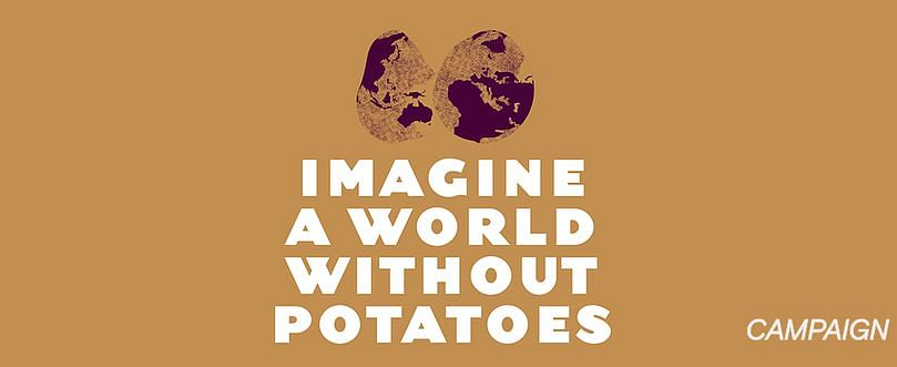 The International Potato Center (CIP) will launch the international ‘Can you imagine a world without potatoes’ campaign which aims to increase international awareness of the importance of potatoes for people everywhere.