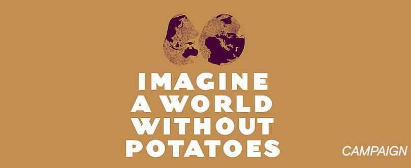 The International Potato Center (CIP) will launch the international ‘Can you imagine a world without potatoes’ campaign which aims to increase international awareness of the importance of potatoes for people everywhere. The International Potato Center (CIP) will launch the international ‘Can you imagine a world without potatoes’ campaign which aims to increase international awareness of the importance of potatoes for people everywhere.