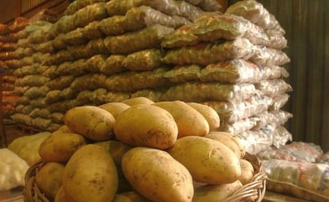 La importación de Papas en Perú solo representa el 1% de la Producción Nacional
La importación de Papas en Perú solo representa el 1% de la Producción Nacional