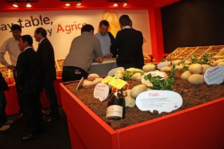 Impression of the Agrico potato variety presentation Impression of the Agrico potato variety presentation