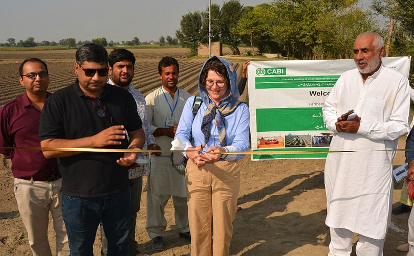 Dr Janny Vos opens the demonstration plot for ware crop (Courtesy: CABI)
