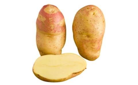 INCA BELLA INCA BELLA