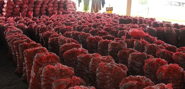 To boost potato export, India considers establishment of &#039;pest-free zones&#039; 