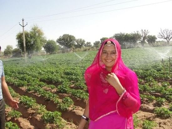 Robust potato crops made a woman happy at her farm in Jodhpur (Courtesy: CIP)