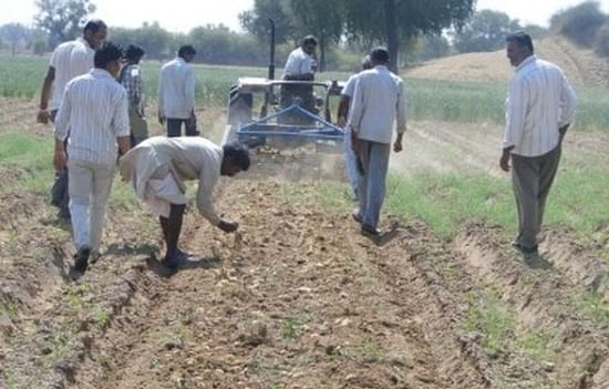 First time potato farmers harvesting their crop in Mansagar.(Courtesy CIP) First time potato farmers harvesting their crop in Mansagar.(Courtesy CIP)