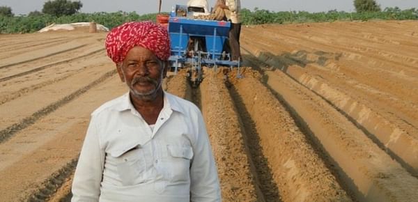 Good yields in pilot potato cultivation in arid areas in India offers new opportunities 