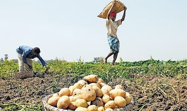 Pepsico to procure potatoes for potato chips from Kuppam, Andhra Pradesh