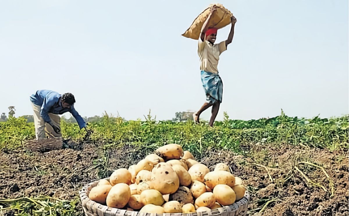 Pepsico to procure potatoes for potato chips from Kuppam, Andhra Pradesh Pepsico to procure potatoes for potato chips from Kuppam, Andhra Pradesh