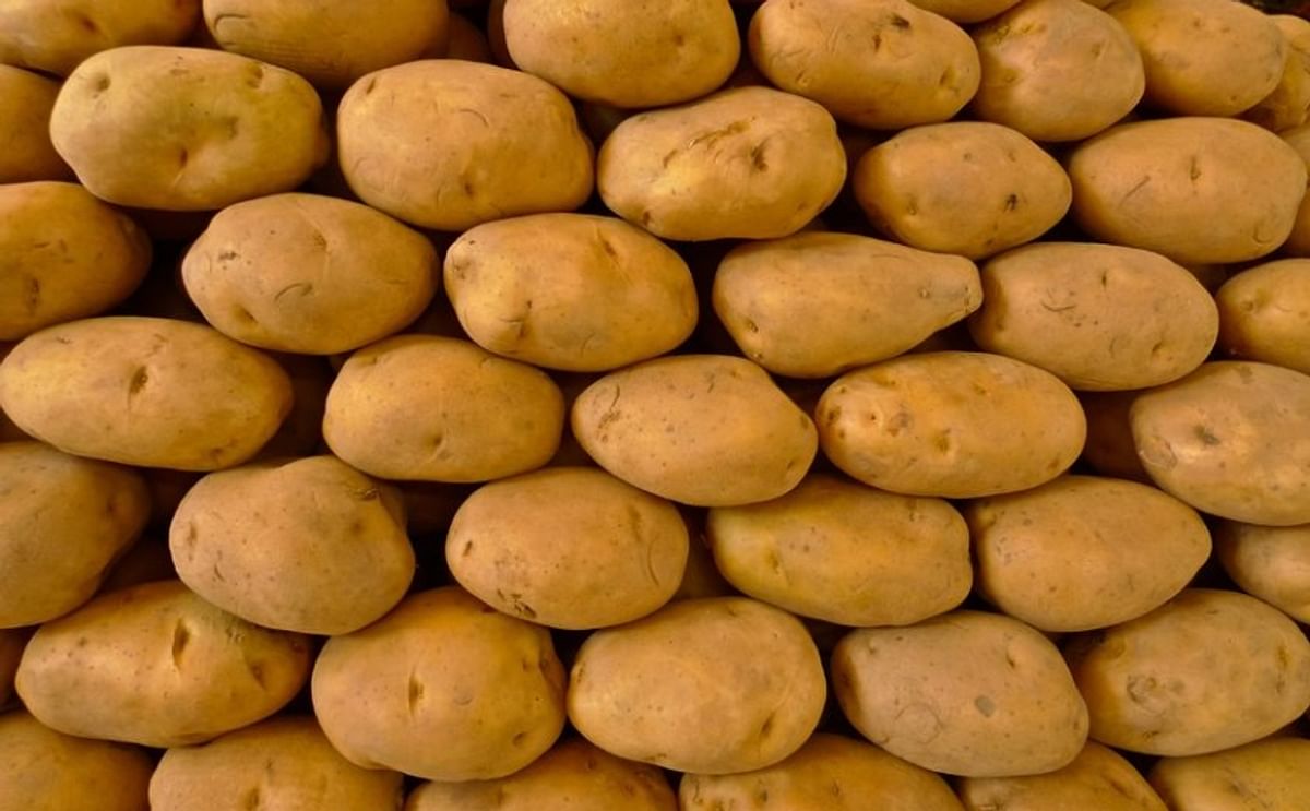 Indian Government sets Minimum Export Price (MEP) for potato of USD 360 per tonne Indian Government sets Minimum Export Price (MEP) for potato of USD 360 per tonne