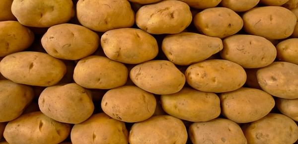 Indian Government sets Minimum Export Price (MEP) for potato of USD 360 per tonne
