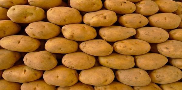 Indian Government sets Minimum Export Price (MEP) for potato of USD 360 per tonne