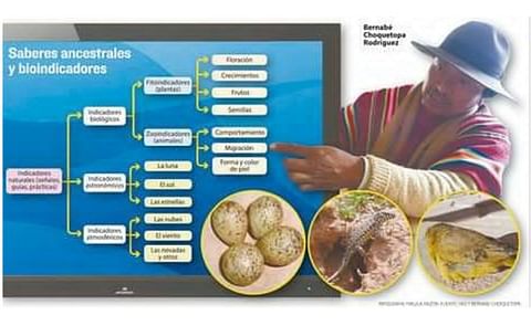 Meteorólogo andino usa señales de la naturaleza para ayudar al agro Meteorólogo andino usa señales de la naturaleza para ayudar al agro