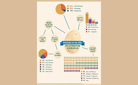 Infografía sobre el recorrido de la papa en la Argentina Infografía sobre el recorrido de la papa en la Argentina