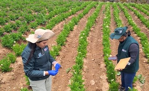 INIA estudios genéticos INIA estudios genéticos