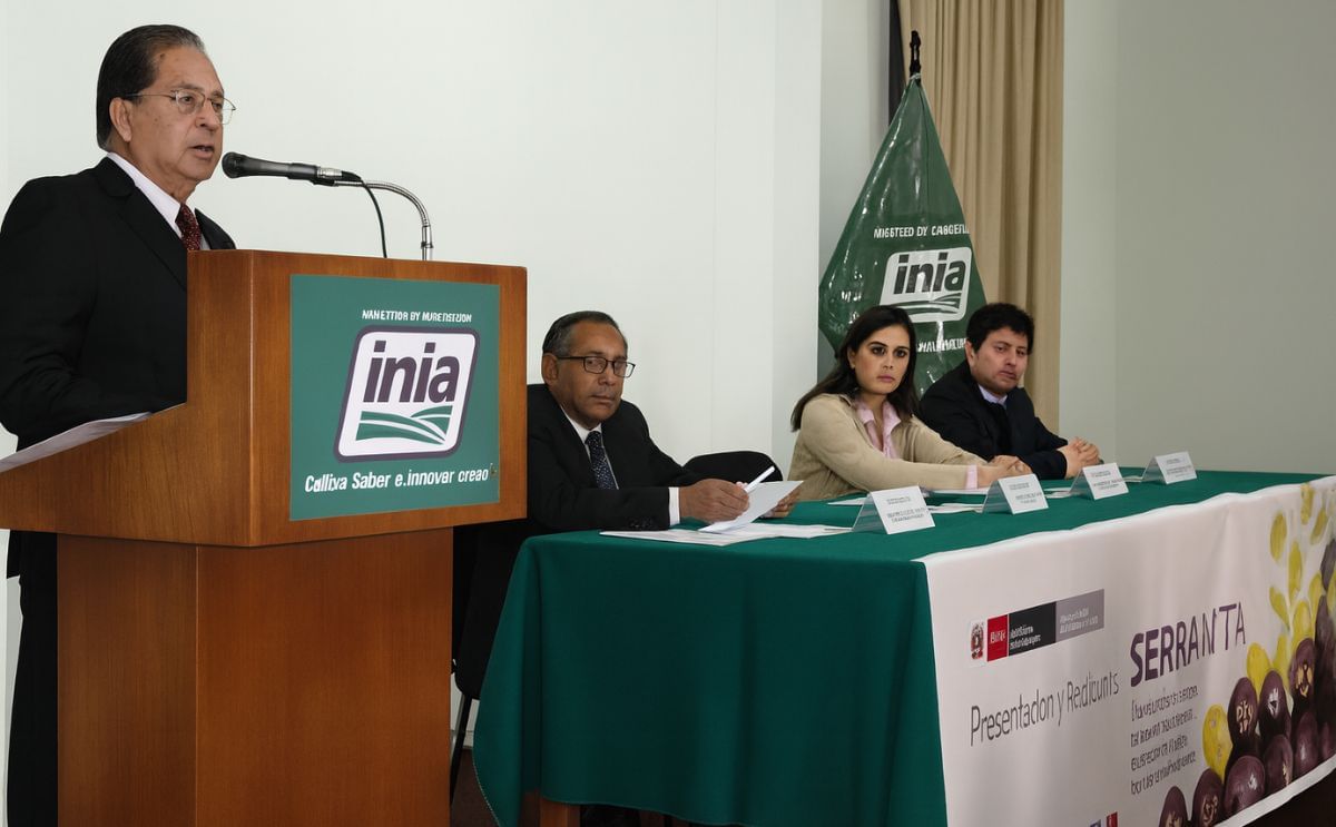 INIA (Perú) presentó variedad de papa Serranita a comerciantes e industriales