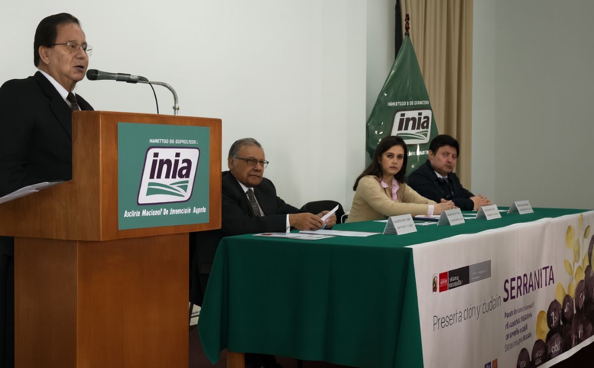 INIA (Peru) presents Serranita, a new ecological potato variety