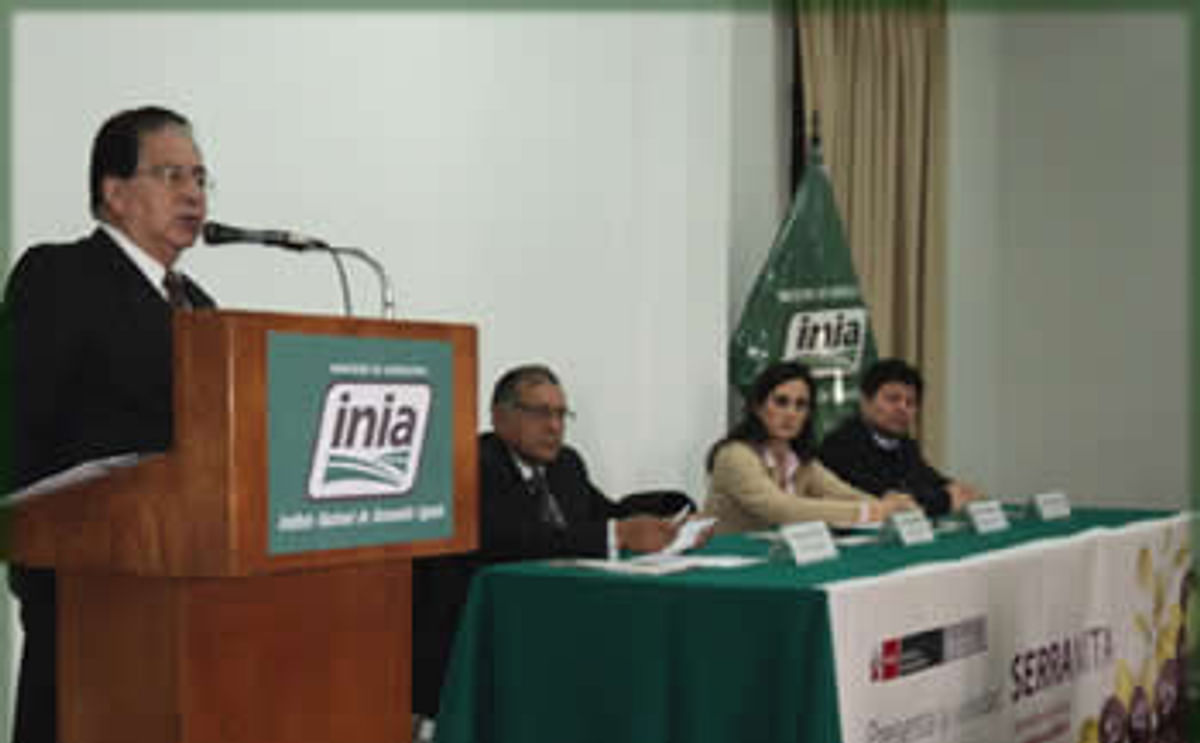 INIA (Perú) presentó variedad de papa Serranita a comerciantes e industriales