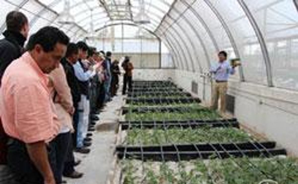 INIAP-Ecuador y el CIP mostraron las tecnologías para la producción de semilla de papa de alta calidad