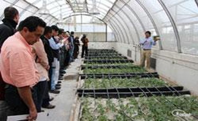 INIAP-Ecuador y el CIP mostraron las tecnologías para la producción de semilla de papa de alta calidad