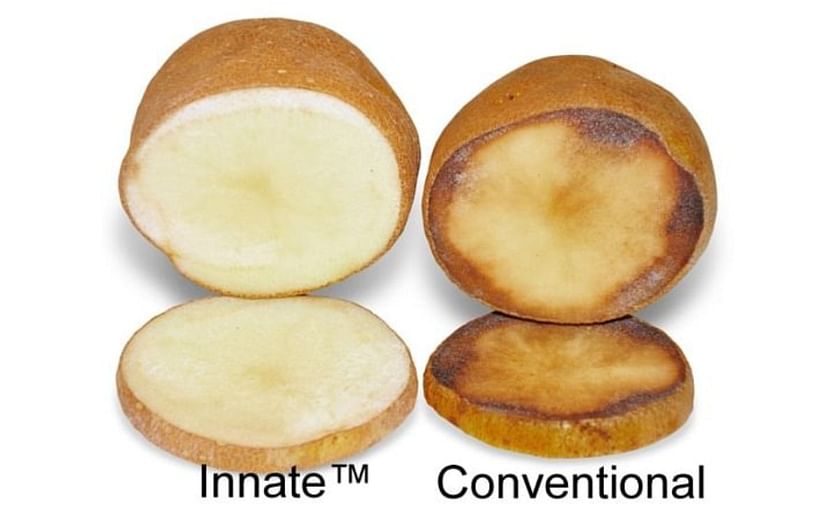 Will Simplot's Innate GMO Potato Take Off? McDonald's Has Spoken