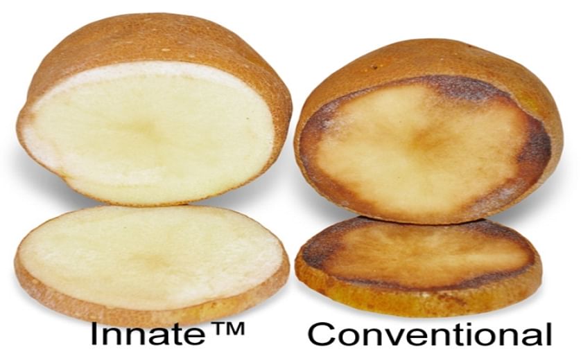 National Potato Council submits Comments in Support of Simplot's Innate Technology