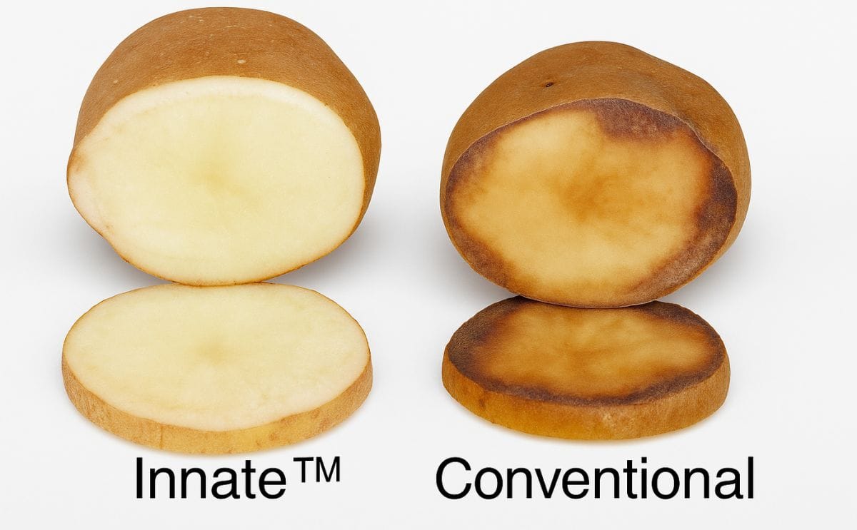 National Potato Council submits Comments in Support of Simplot's Innate Technology