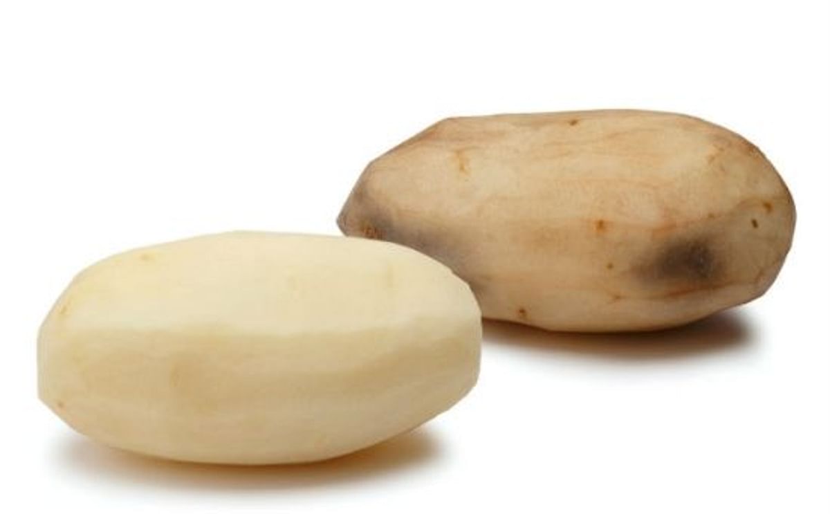 USDA approves Simplot's Innate GM potatoes