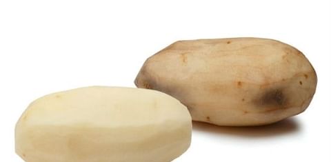 USDA approves Simplot&#039;s Innate GM potatoes