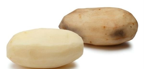 USDA approves Simplot&#039;s Innate GM potatoes