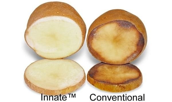 Simplot Innate Potatoes pass voluntary FDA safety review
