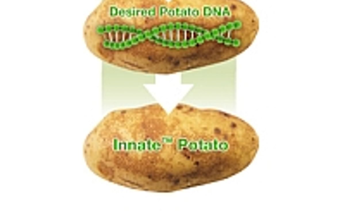 Simplot hopes to avoid Monsanto's mistakes with biotech potato