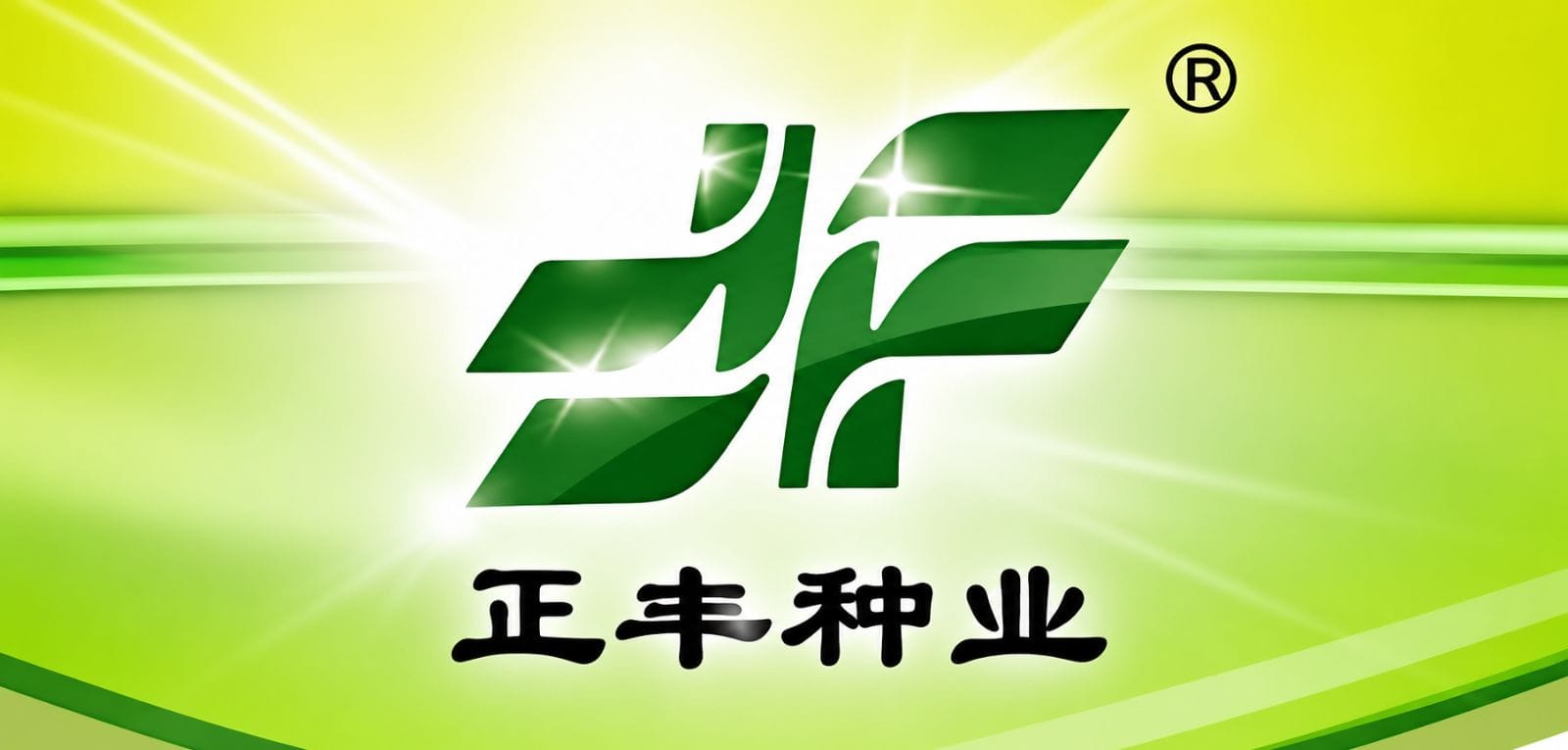 Inner Mongolia Zhengfeng Potato Seed Co., Ltd.