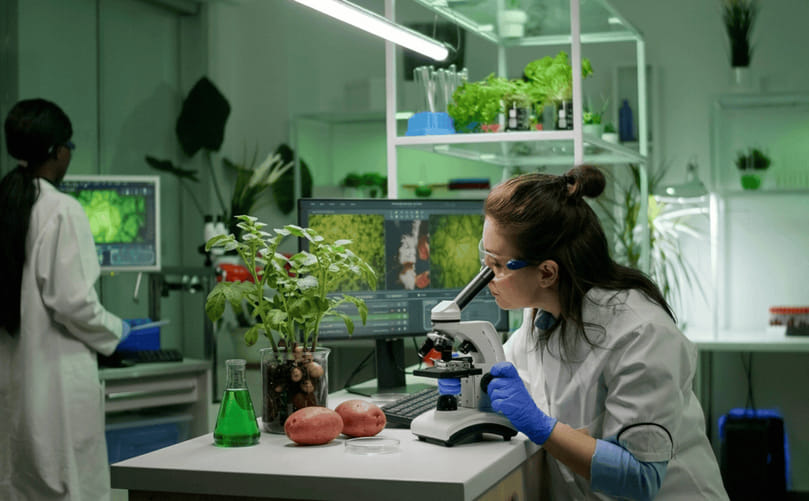 Inside the Lab: Precision Tools Driving Modern Potato Breeding Inside the Lab: Precision Tools Driving Modern Potato Breeding