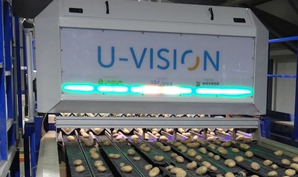 La U-Vision clasifica el tamaño y la calidad de cada patata