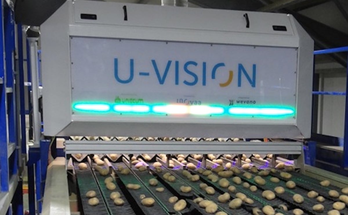 La U-Vision clasifica el tamaño y la calidad de cada patata La U-Vision clasifica el tamaño y la calidad de cada patata