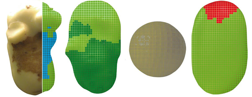 Peelings,Color defects, Foreign bodies, Sugar ends Peelings,Color defects, Foreign bodies, Sugar ends