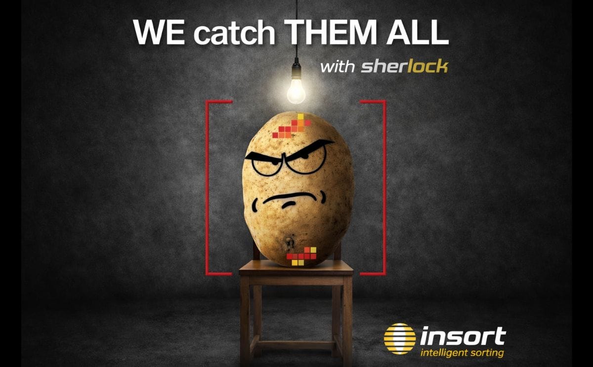 Insort GmbH we catch them all Insort GmbH we catch them all