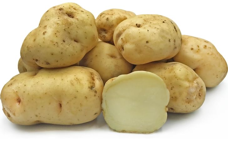 INSTITUTE OF BEAUVAIS INSTITUTE OF BEAUVAIS