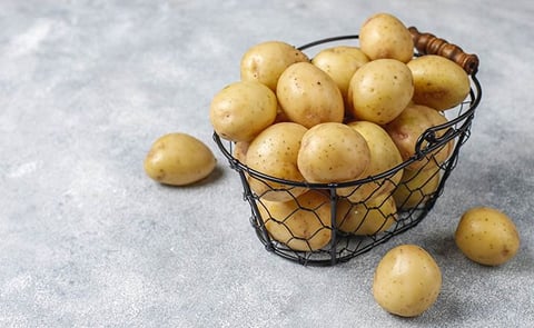 INTA propone variedades de patata con mejor rendimiento para el consumo y la industria. INTA propone variedades de patata con mejor rendimiento para el consumo y la industria.