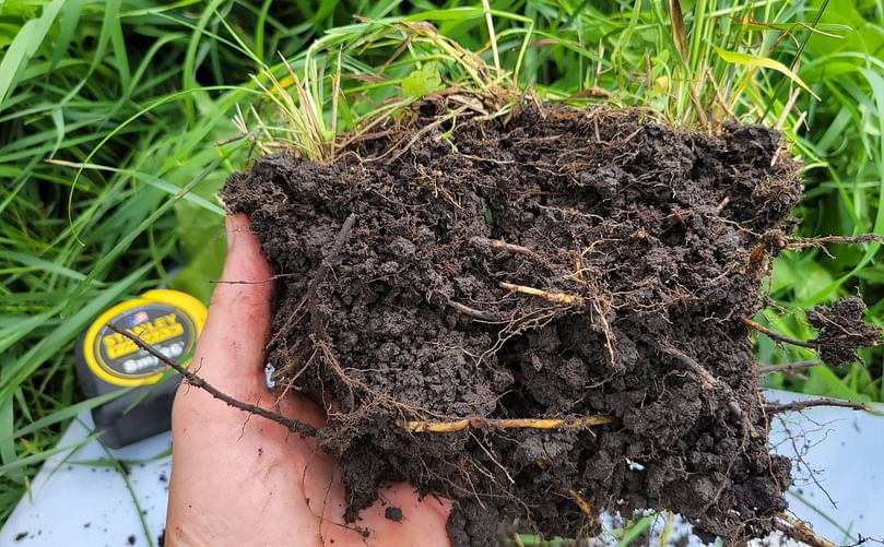 Intact soil clod containing well-formed aggregates.