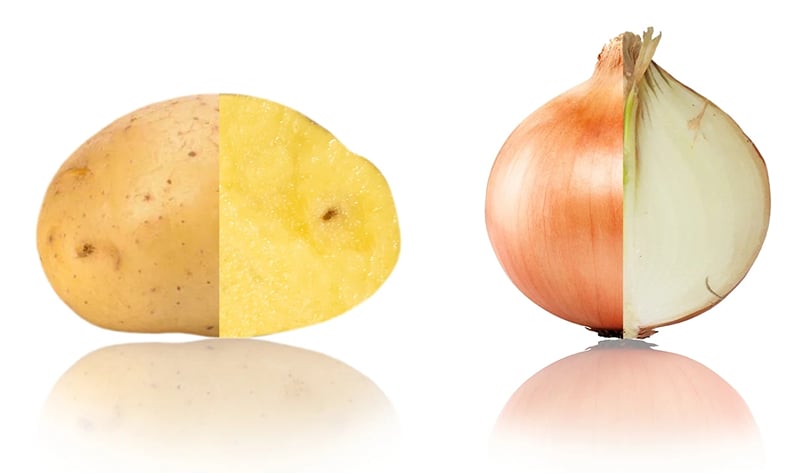 Internal defects in potatoes and onions highlighted by Ellips True-AI technology, demonstrating its ability to identify hidden quality issues beneath the surface. Internal defects in potatoes and onions highlighted by Ellips True-AI technology, demonstrating its ability to identify hidden quality issues beneath the surface.