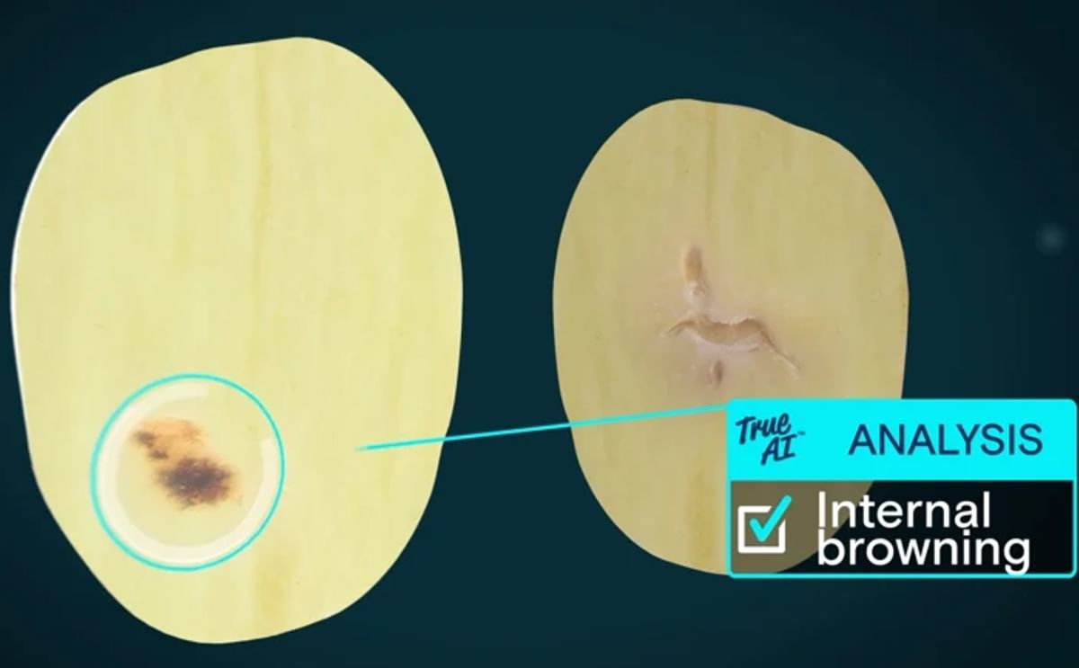 Analyse internal browning of potatoes Analyse internal browning of potatoes
