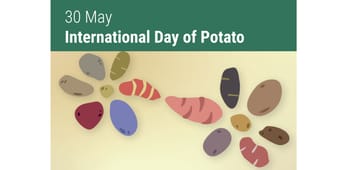 International Day of Potato 2026