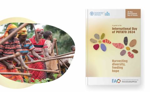 International Day of Potato 2024 International Day of Potato 2024