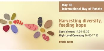international-day-of-potato-fao-logo-1600.jpg